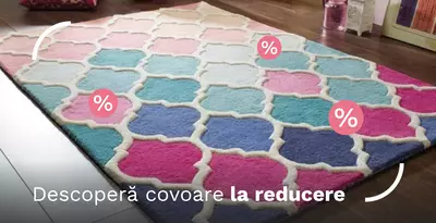 CTL - Rugs on sale Sept