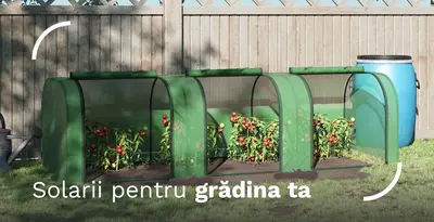 CTL - Polytunnels for your garden