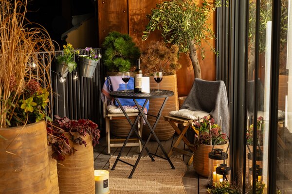 jungla urbana pe un balcon mic