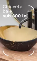 CTL - Basins under 300 lei
