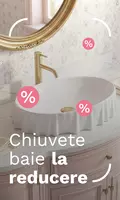 CTL - Basins on sale