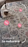 CTL - Rugs on sale