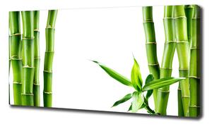 Print pe pânză Bambus