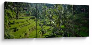 Tablou cu terasele cu orez Tegalalang, Bali (cu ceas) (90x30 cm)