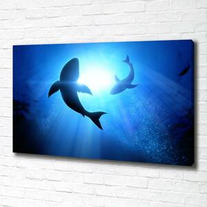 Print pe canvas doi rechini
