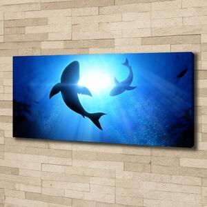 Print pe canvas doi rechini