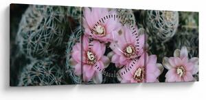 Tablou floare de cactus (cu ceas) (90x30 cm)