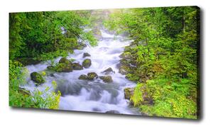 Tablou pe pânză canvas râu de munte