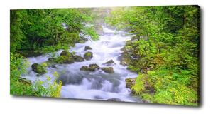 Tablou pe pânză canvas râu de munte