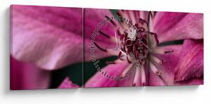 Tablou cu floarea roz de clematis (cu ceas) (90x30 cm)