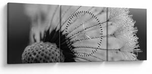 Tablou cu păpădie - albnegru (cu ceas) (90x30 cm)