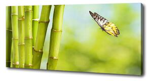 Print pe canvas Bambus și fluture