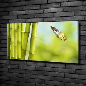 Print pe canvas Bambus și fluture