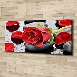 Tablou canvas Trandafir roșu