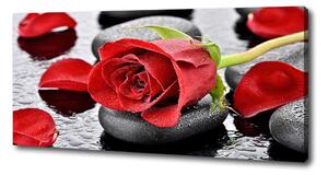 Tablou canvas Trandafir roșu