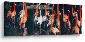Tablou - turmă de flamingo (cu ceas) (90x30 cm)
