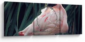 Tablou - Pasărea Flamengo (cu ceas) (90x30 cm)