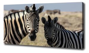 Tablou canvas două zebre