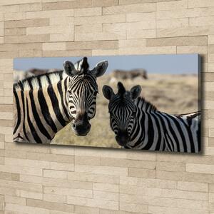 Tablou canvas două zebre