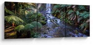 Tablou cu pădurea ploilor din Austalia (cu ceas) (90x30 cm)