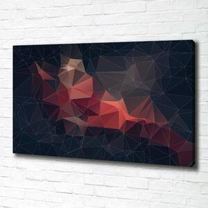 Tablou canvas abstract