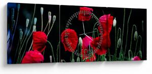 Tablou - Dansul macilor (cu ceas) (90x30 cm)