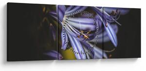 Tablou - Lila (cu ceas) (90x30 cm)