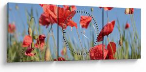 Tablou - Maci (cu ceas) (90x30 cm)
