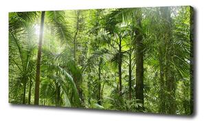 Imprimare tablou canvas padure tropicala