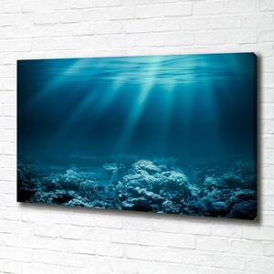 Tablou pe pânză canvas Lumea subacvatica