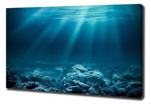 Tablou pe pânză canvas Lumea subacvatica