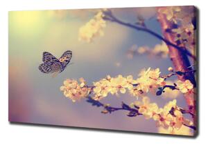 Tablou pe pânză Floare de cireș și fluture