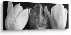 Tablou - Lalele alb negre (cu ceas) (90x30 cm)