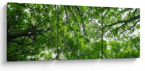 Tablou - privire în coroanele pomilor (cu ceas) (90x30 cm)