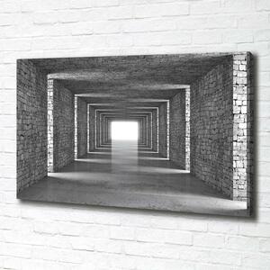 Tablou pe pânză canvas tunel Cărămidă