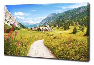 Tablou pe pânză canvas Pășuni în Alpi