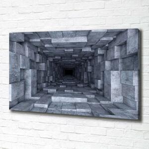 Print pe canvas Tunel
