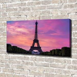 Tablou pe pânză Turnul Eiffel din Paris