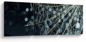 Tablou - Floare cu pânză de pâianjen (cu ceas) (90x30 cm)