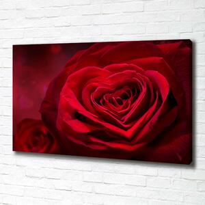 Pictură pe pânză inima trandafir rosu