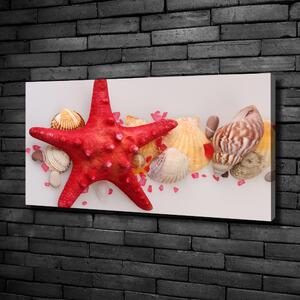 Tablou canvas Starfish și scoici