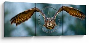 Tablou -Bufnita în zbor (cu ceas) (90x30 cm)