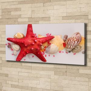 Tablou canvas Starfish și scoici