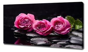Tablou pe pânză canvas trandafiri roz