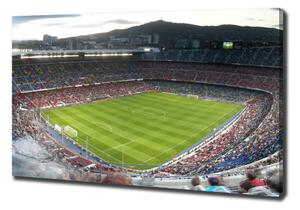 Tablou pe pânză Stadionul Barcelona