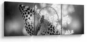 Tablou - Detailu cu fluture care polenizează floare (cu ceas) (90x30 cm)