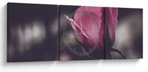 Tablou - Detaliu florii de trandafir (cu ceas) (90x30 cm)