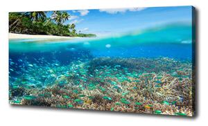 Tablouri tipărite pe pânză recif de corali
