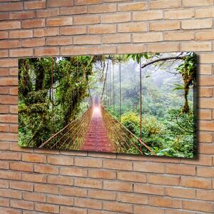 Print pe canvas Bridge în tropice