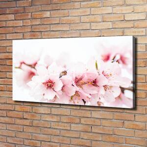 Print pe canvas flori de cireș